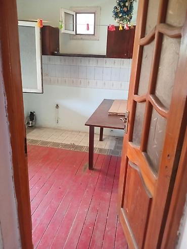 1 комнатная квартира в баку: Kirayə üçün həyət evi - Plan: 1 mərtəbə, ayrıca giriş - Həyət: beton — 2