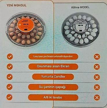 norma lupper: Tam avtomatik inkubator 30 yumurta. Satış evdən məhdut miqdarda. Əlaq' — 5