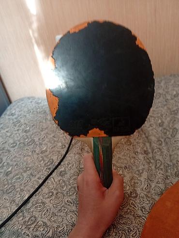 лыжи стоимость: Продаются ракетки double fish за 1000 сом — 1