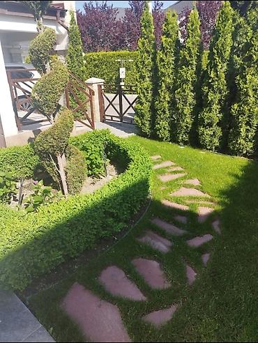 Дизайн, проектирование: Дизайн | Дома — 5