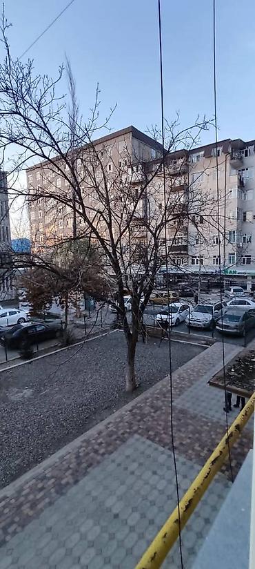 Долгосрочная аренда квартир: 2 комнаты, Риэлтор, Без подселения, С мебелью частично — 8