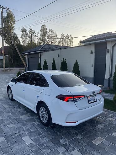 corolla 2016: Toyota Corolla: 2019 г., 1.8 л, Вариатор, Гибрид, Седан — 2
