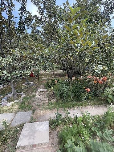 Продажа участков: 10 соток, Для строительства, Красная книга, Тех паспорт at lalafo.kg — 2 Продажа участков: 10 соток, Для строительства, Красная книга, Тех паспорт — 2