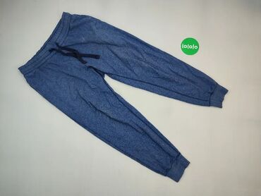 Spodnie: Spodnie, L (EU 40), wzór - Jednolity kolor, kolor - Niebieski