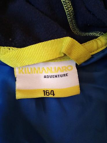 Kurtkalar: 10-12 yaw — 7