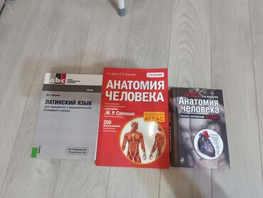продленка для начальных классов бишкек: Латинский язык-400 сом. Анатомия человека 750,Русско-латинский атлас