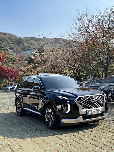 Hyundai: Hyundai Palisade: 2020 г., Бензин, Кроссовер — 9