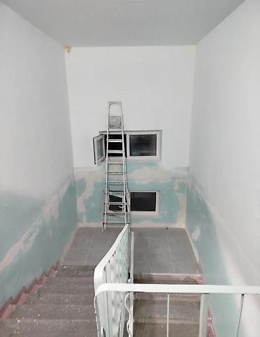 Покраска: Покраска подъездов и лестничных клеток под ключ Касметика Крыши — 19