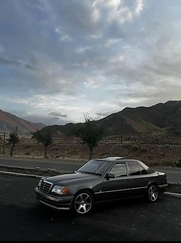 Mercedes-Benz: Mercedes-Benz W124: 1993 г., 4.2 л, Автомат, Бензин, Седан — 6