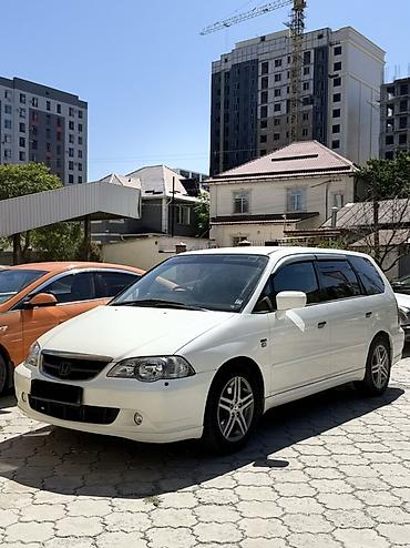 odyssey 1: Honda Odyssey: 2003 г., 2.3 л, Автомат, Бензин, Универсал — 1