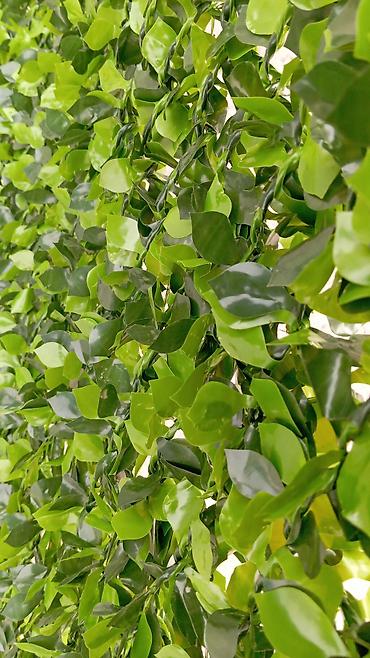 Bağ və bostan üçün digər məhsullar: Yaşıl arakəsmə. Türkiyə istehsalı paslanmayan ikiqat məftil və dörd — 27