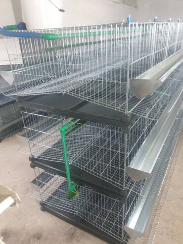 Domaće životinje: Prodaja pocinkovanih kaveza za koke, pilice i zeceve u kompletu sa — 3