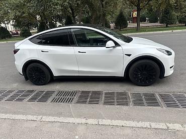 Tesla: Tesla Model Y: 2023 г., Электромобиль, Кроссовер — 2