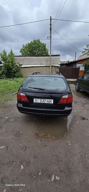 Nissan: Nissan Primera: 2001 г., Универсал — 5