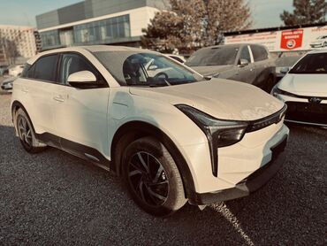 Другие автомобили: Neta U Pro /Ev-Электро кроссовер. Основные особенности: - Кузов — 5