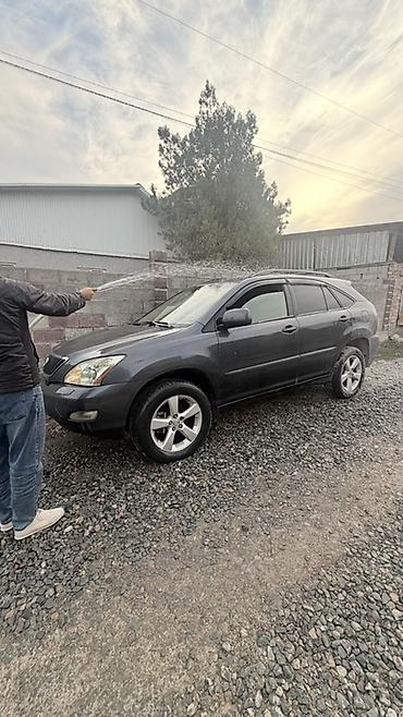 Lexus RX: 2004 г., 3.3 л, Автомат, Бензин, Кроссовер — 4