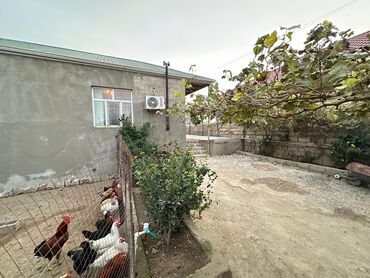 Həyət evləri və villaların satışı: Satılır: həyəti olan fərdi ev - Plan: 4 otaq — geniş qonaq otağı və — 5