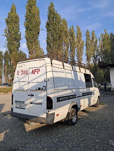 124 e500: Легкий грузовик, Mercedes-Benz, Дубль, 3 т, Б/у — 5