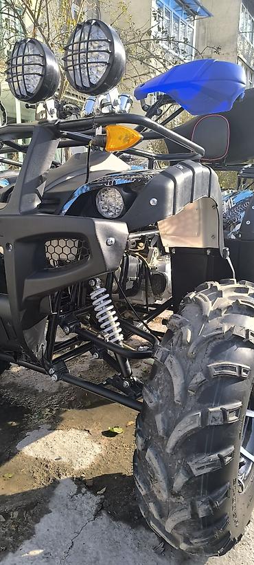 Квадроциклы: Квадроцикл ATV (двухместный), внедорожный. Основные характеристики и — 8