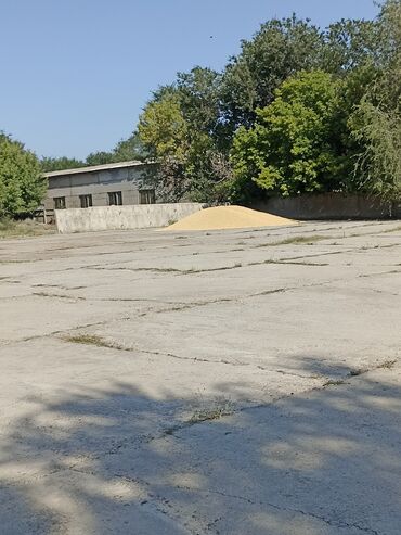 номер приюта для животных бишкек: А/ч жаныбарлары үчүн тоюттар