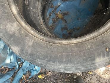 stud 100: Шины Hankook 245/60 R18 105H - Тип: летние шины для легковых — 2
