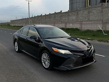 Toyota: Toyota Camry: 2020 г. — 1