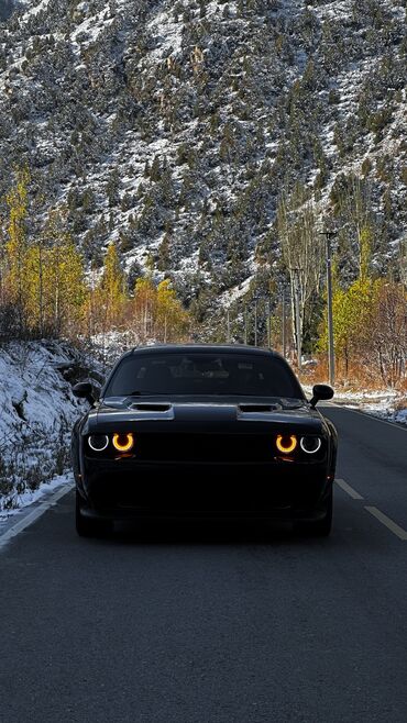 авто нива бу купить: Dodge Challenger: 2018 г., 3.6 л, Автомат, Бензин, Купе