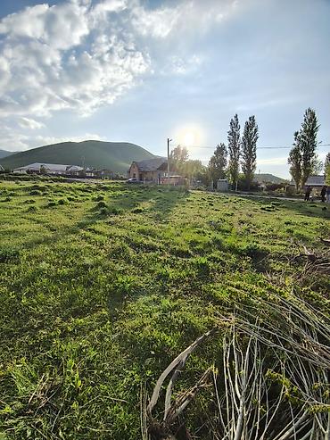 Продажа участков: 5 соток, Красная книга — 10