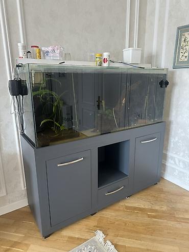 akvarium baliqlari: Uzunluq - 150 En - 45 Hündürlük 65 Dəmir profildən yığılıb mebel — 1