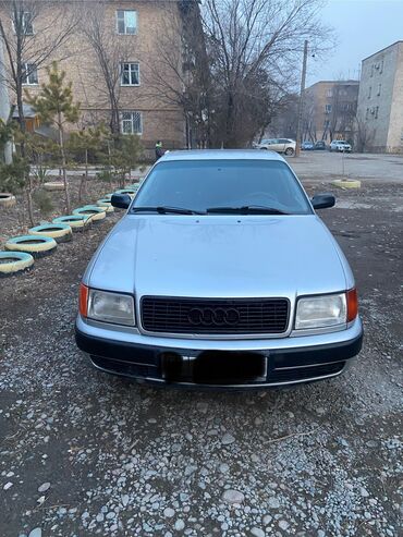 Audi: Audi 100: 1993 г., 2.3 л, Механика, Бензин, Седан