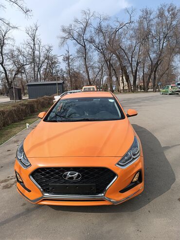 экскаватор хундай 555 цена: Hyundai Sonata: 2019 г., 2 л, Автомат, Газ, Седан