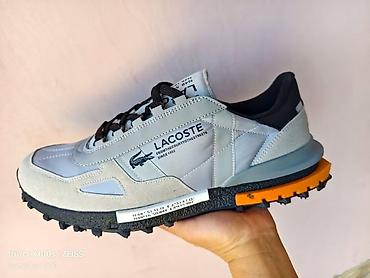 cipele muske type 1: LACOSTE

41 do 46


4000 — 4