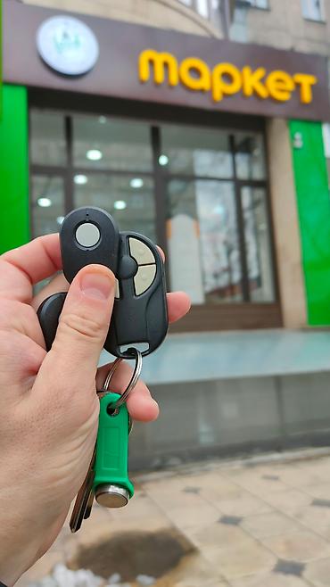 Распашные ворота: Акция на пульты для Doorhan/BFT/Nice/AnMotors некоторые китайские — 2