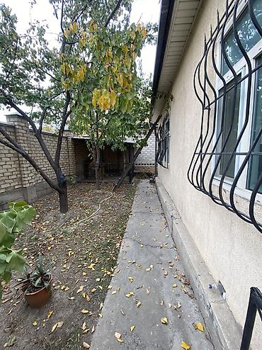 гостевой дом тосор house aj: 4 комнаты, 95 м², 6 соток, Джал, Собственник — 2