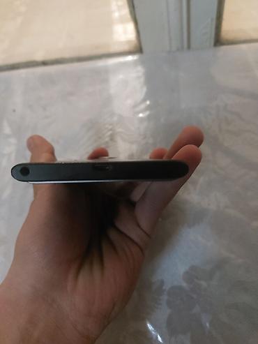 Ежевика: Ежевика Priv, цвет - Черный — 9