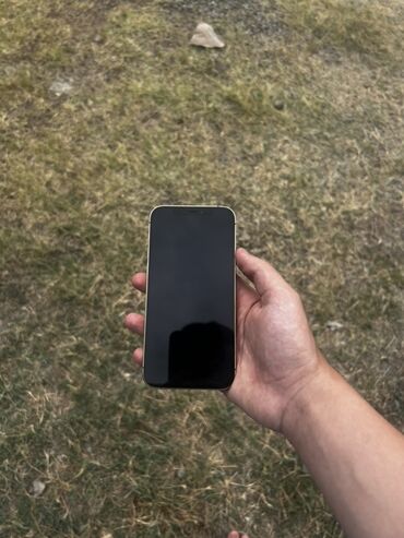 ipad pro 12 9: IPhone 12 Pro, 128 GB, Qızılı