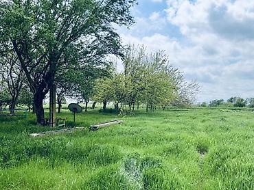 Torpaq sahələrinin satışı: Kənd təsərrüfatı, Kupça (Çıxarış) — 15