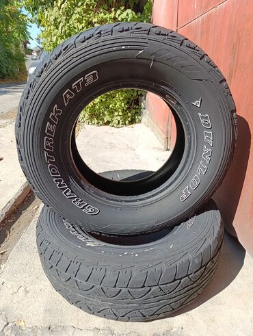 Шины: Шины 235 / 75 / R 15, Всесезонная, Внедорожные (АТ/МТ), Dunlop