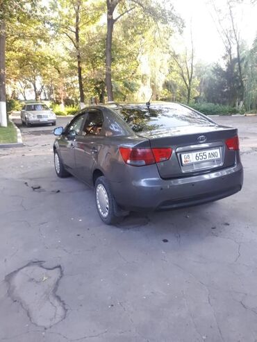 kia 5: Kia Cerato: 2010 г., 1.6 л, Механика, Бензин, Седан