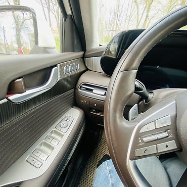 миша: Hyundai Palisade: 2022 г., 2.2 л, Робот, Дизель, Кроссовер — 7