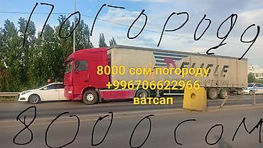 скания 420: Тягач DAF XF с тентованным полуприцепом - Тягач: DAF XF, высокие — 3