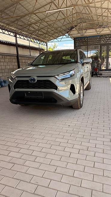 lync co: Toyota RAV4: 2022 г., Автомат, Бензин, Кроссовер — 1