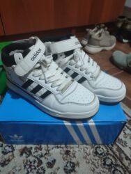 обмен на питбуля: Деми, 40 размер! за литр масла