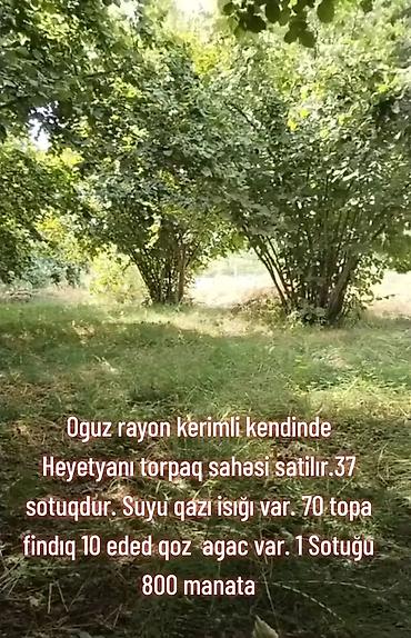 qubada torpaq sahesi satilir: 37 sot — 1