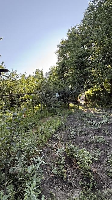 Кыймылсыз мүлк: Продаётся жилой дом с Земельным участком в с. Новопокровка — 6