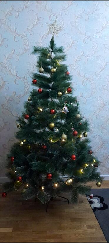 iran sobasi kreditle: Yolka satılır. 2met Qiymət 80 azn Aksesuarlarıya birgə verilir. Ünvan