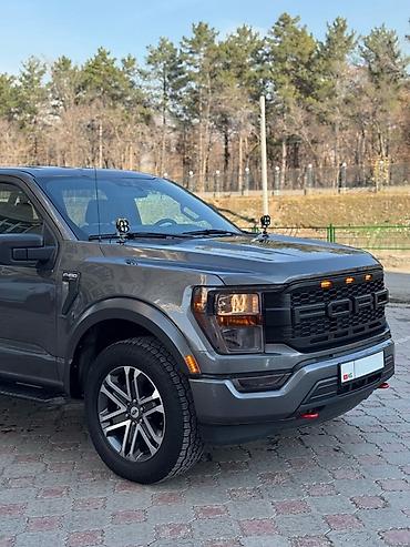 Ford: Ford F-150: 2020 г., 2.7 л, Автомат, Бензин, Пикап — 6