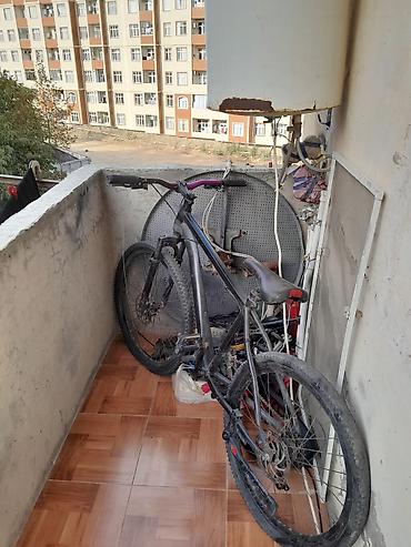 Dağ velosipedləri: Satilir arxa disk 24 tekeler partağdi arxa tormuz yoxdur skorusdari — 1
