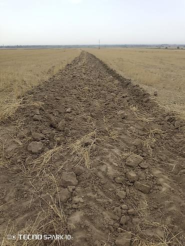 сокулук кун туу: 31 соток, Белек келишими — 7