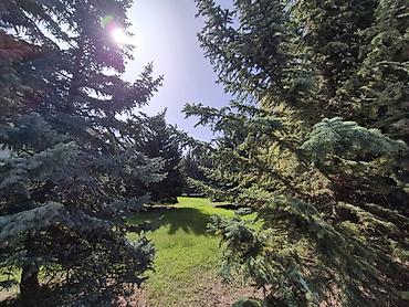Продажа квартир: 2 комнаты, 48 м², Элитка, 3 этаж, Евроремонт — 14